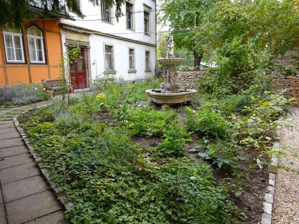 Hummel Hostel - Historische Stadtvilla Mit Garten Weimar  Exteriör bild